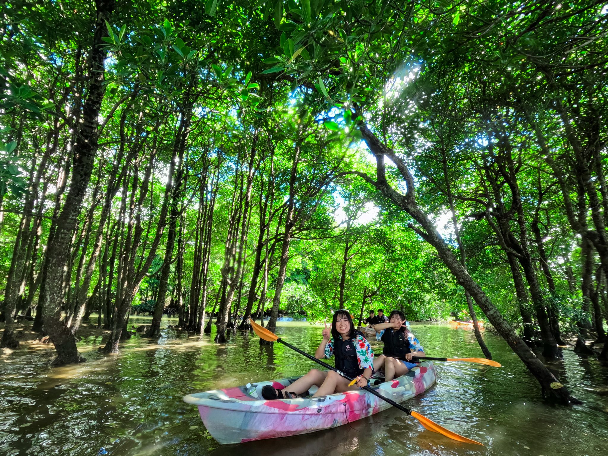 🌳 후키도강의 맹그로브 숲(후키도-가와노망그로부린)